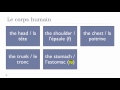 Learn French - Unit 5 - Lesson N - Le corps humain
