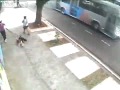 PERROS DE ATAQUE