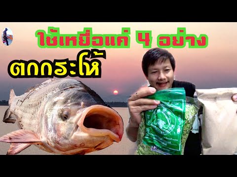 ปลากระโห้ กินเหยื่อแค่นี้เองครับช่วงนี้