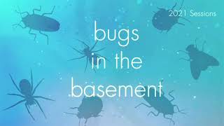 Bugs In The Basement - Clastoptera Saintcyri aka The Heath Spittlebug