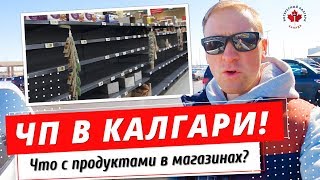 Видео ЧП в Калгари | ЧТО с продуктами на полках | Почему люди ПАНИКУЮТ? от ИНТЕРЕСНЫЙ КАЛГАРИ. КАНАДА, Калгари, Канада