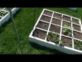 GreenFun: How to Build a Square Foot Garden Trellis System