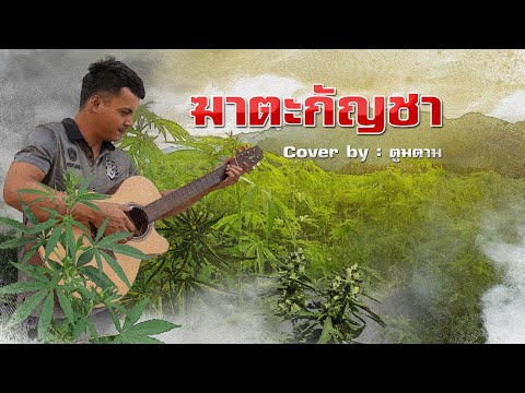 ฆาตะกัญชา (Cover by ตูมตาม)
