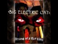 Big Electric Cat - Winter Room