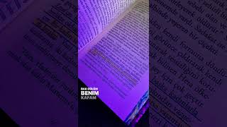 Sen Yada Salan Her Seye Nifret Edirem.