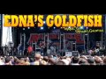 Edna's Goldfish - I'm Your Destiny