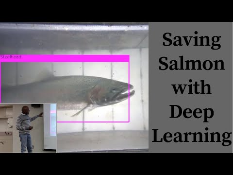 Saving Salmon with Deep Learning