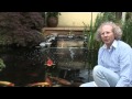 Michael Pahl Bewusstseinserweiterung Bewusstsein Forschung Astralreisen bewusst 2