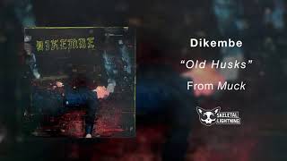 Watch Dikembe Old Husks video