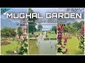 Mughal Garden - Shalimar Bagh & Nishat Bagh | Srinagar | Kashmir Trip