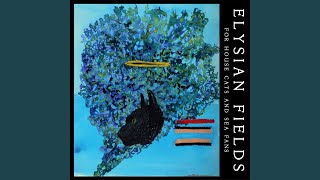 Watch Elysian Fields Come Down From The Ceiling video