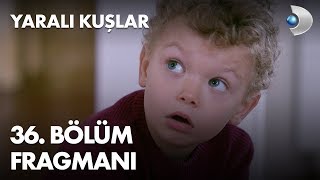 Yaralı Kuşlar 36. Bölüm Fragmanı