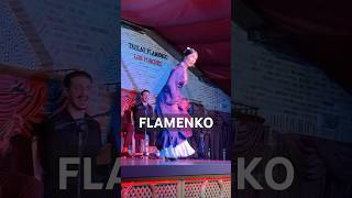 Flamenko Dansı