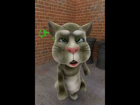 Northern Talking Tom - Moaning Again