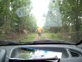 Поехали на рыбалку в швецию 