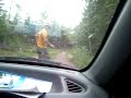 много об укусах змей 