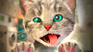 Cute Kitten Little Cat Adventure  Preschool Educational Kids Count 1 To 10 Best Toy Learning Video