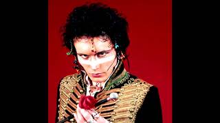 Watch Adam Ant Here Comes The Grump video