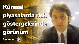 Küresel Piyasalarda Risk Göstergelerinde Görünüm - Yatırım Bülteni  19.10.2022