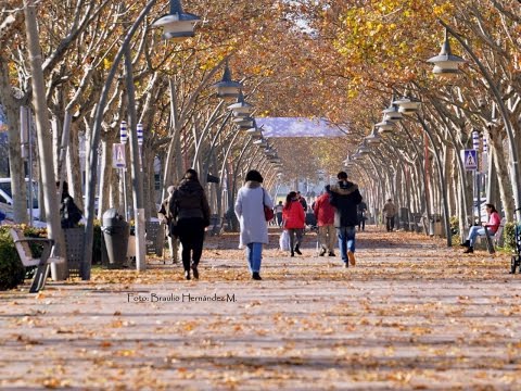 Tres Cantos: una ciudad para vivir. Tour otoñal por toda la Ciudad