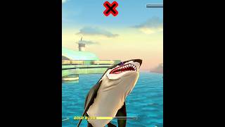 Flay This Year Old Shark - Hungry Shark World