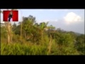 image Abg Digoyang Di Tengah Malam V Dewasa Mesum Youtube