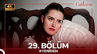 Çalıkuşu 29. Bölüm 4K