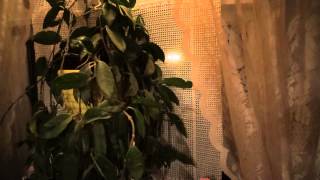 Watch Rebecca Lavelle Our Home Our Place video
