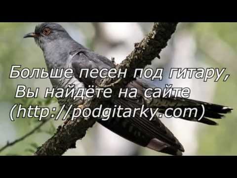 песня кукушка минусовка и текст цой песня кукушка минусовка и текст цой