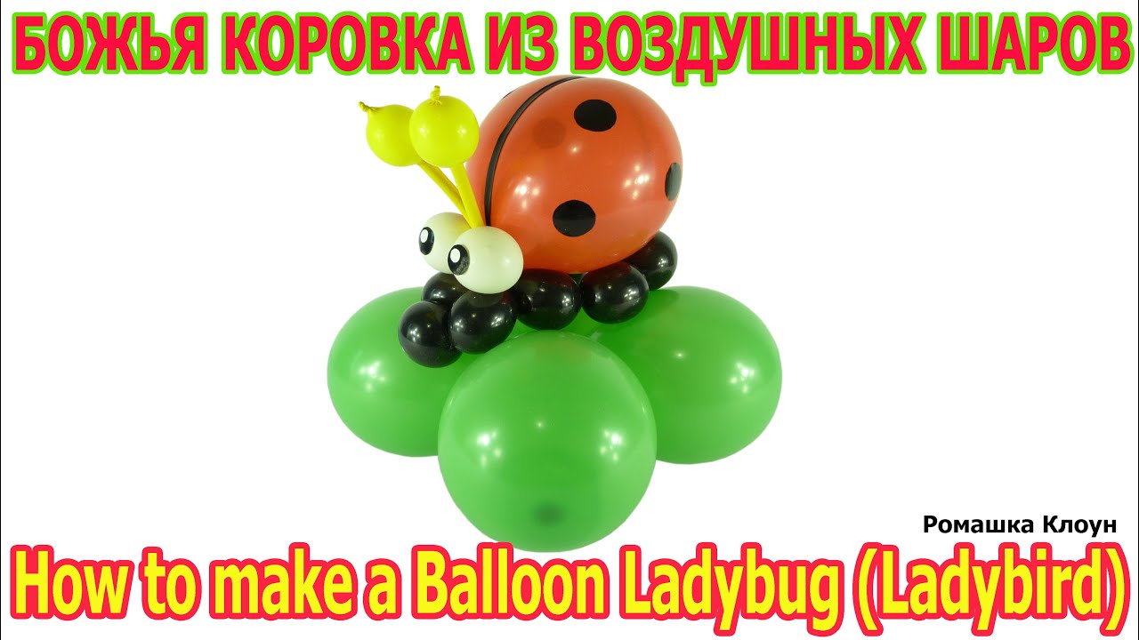 Как из шаров сделать божью коровку Как из шаров сделать божью коровку