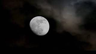 Vande Tvam - Sung by Gopika