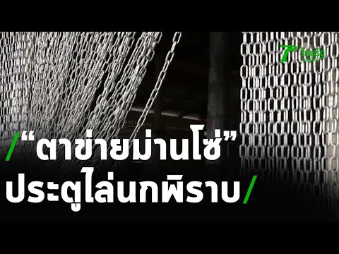 วัดผุดไอเดียใช้ตาข่ายม่านโซ่ประตูไล่นกพิราบ | 20-11-63 | ข่าวเที่ยงไทยรัฐ