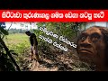 නිට්ටෑවා කුරුණෑගල ගමක ඩෙගා නටපු හැටි  | Nittawa in Kurunegala area | Nava vlog 39