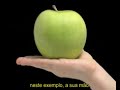 Documentário