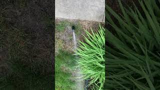 Irrigation Sprinkler Heads Not Working? No Problem