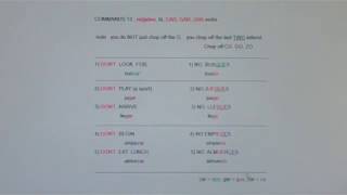 commands 13...no tú car, gar, zar.