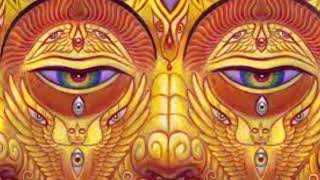 Homage To Alex Grey By Jasmuheen