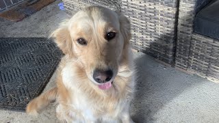 Lucy Farted