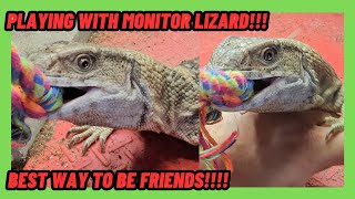 Playing With Your Monitor Lizard How To Be Friends Savannah Monitor How To Train Your Dragon.