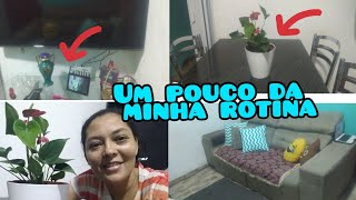 Rotina De Dona De Casa Lavei Os Pratos E Arrumei A Sala Mostrando O Sofá Novo