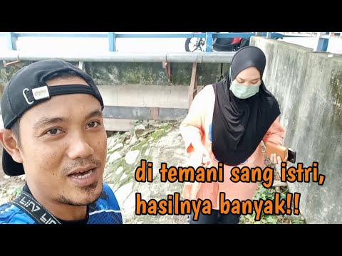 Mancing ikan nila babon tepat di sarang nya,di temani sang istri