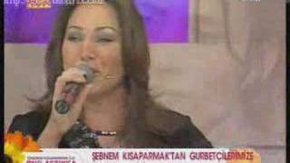 Gültekin Gönülaçar Ve Sebnem Kısparmak