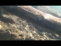 A Brief Tour of Lake Superior