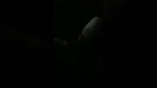 Ciuman Di Tempat Umum