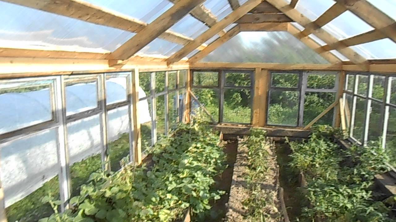 Теплица на даче своими руками из оконных рам Теплица на даче своими руками из оконных рам