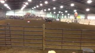 Kendra N Hoss Sundance 10-5-13