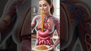 What Happens To Your Body When You Eat Pasta 3D Digestive System Animation