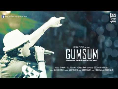 GUMSUM - Rahul Jain (Pitara Studios-2013)