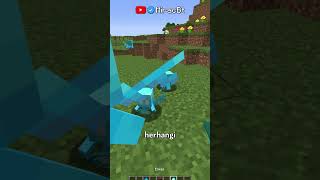 Minecraftta 50 Saniyede Huzurverenler