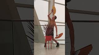 Danza Bionica - Nataliya Andru & Cordyline Paso Doble